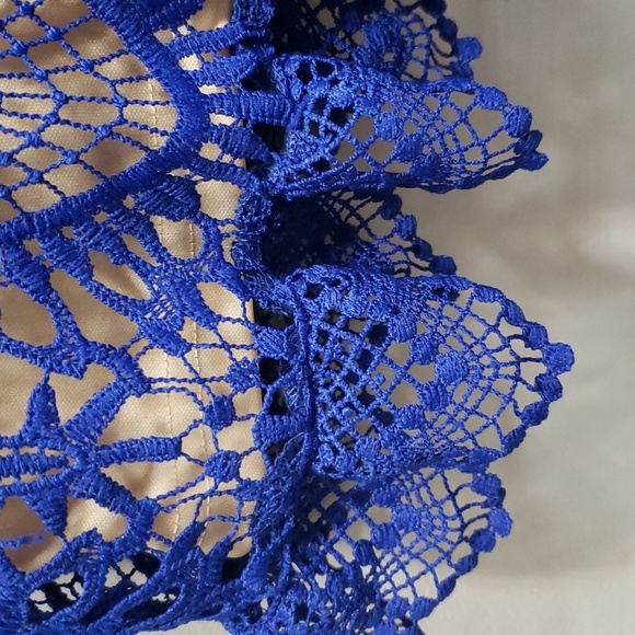 Hidden Label Royal Blue Crochet Lace Dress, Lined, Size Small - Picture 8 of 9